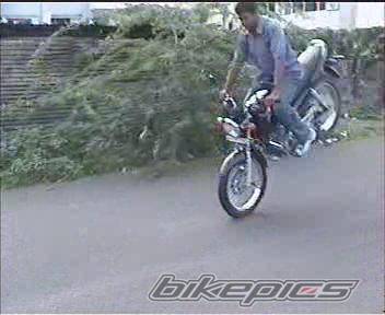 Photo 109910