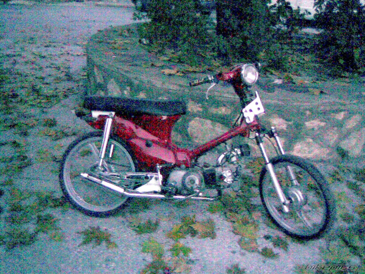 Photo 1099191
