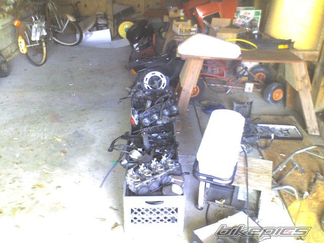 Photo 1099533
