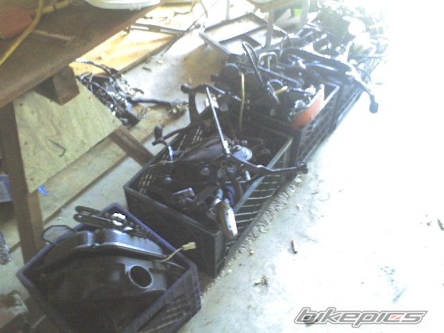 Photo 1099535