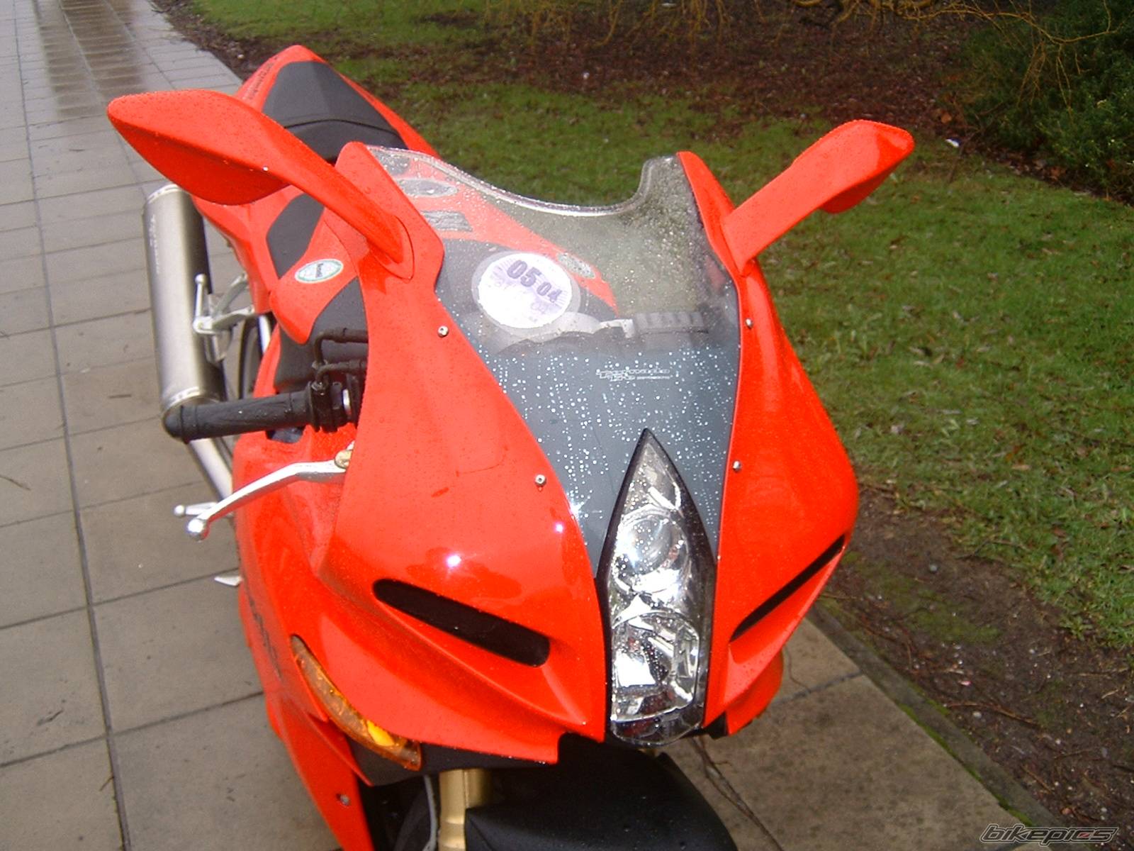 Photo 109979