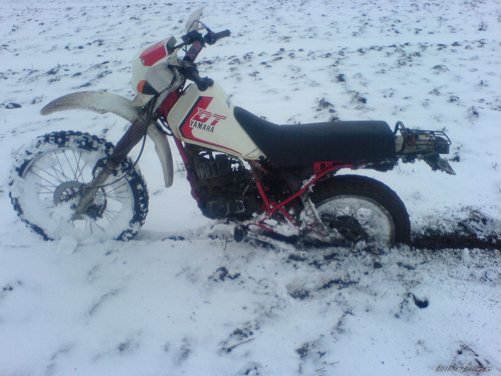 Photo 1099893
