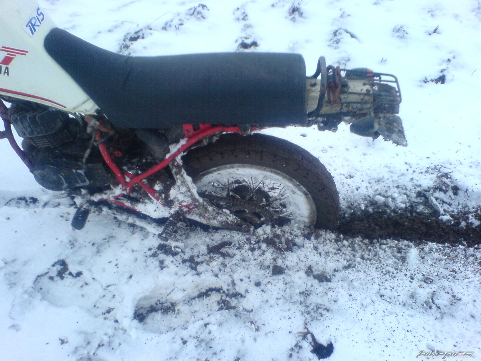 Photo 1099895