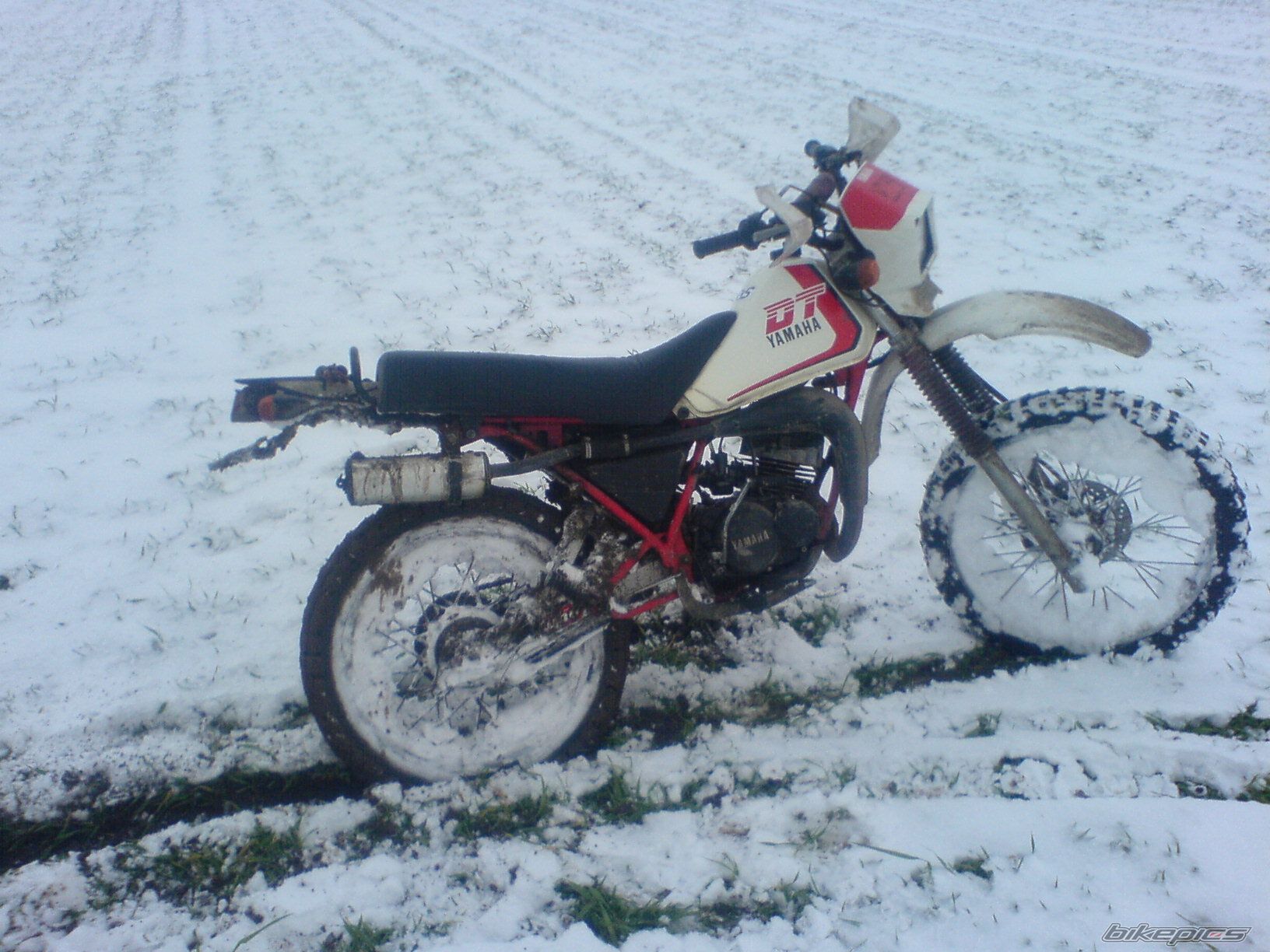 Photo 1099899