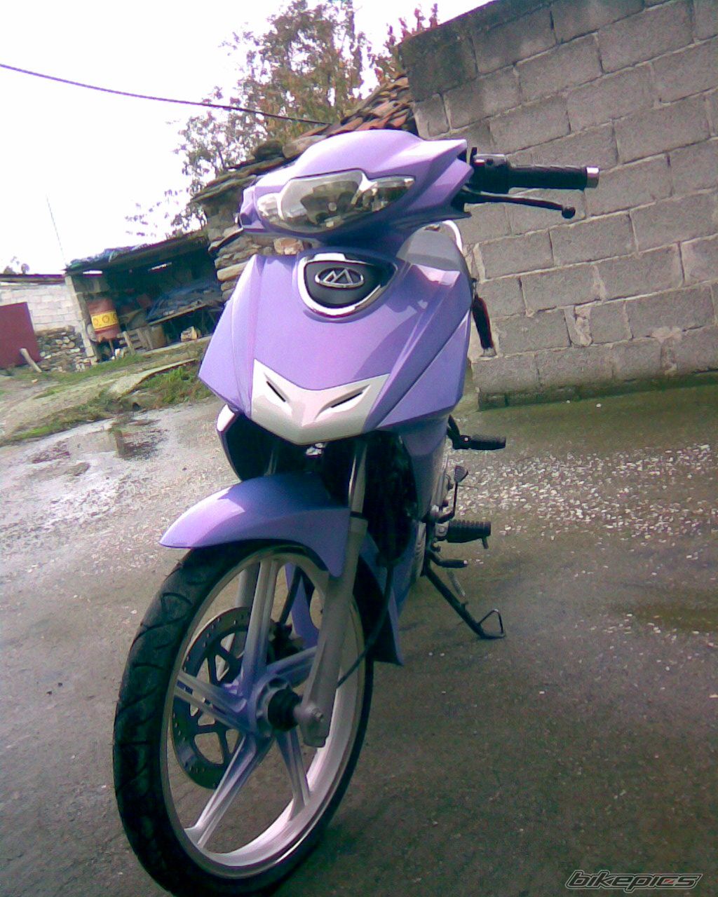 Photo 1100002