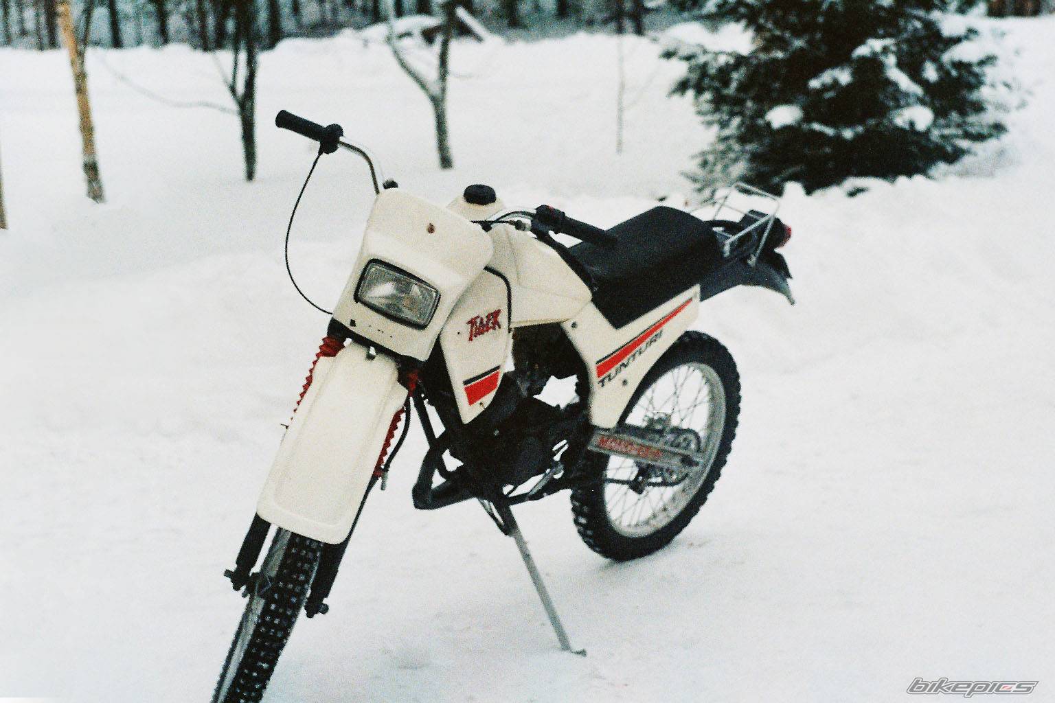 Photo 110003