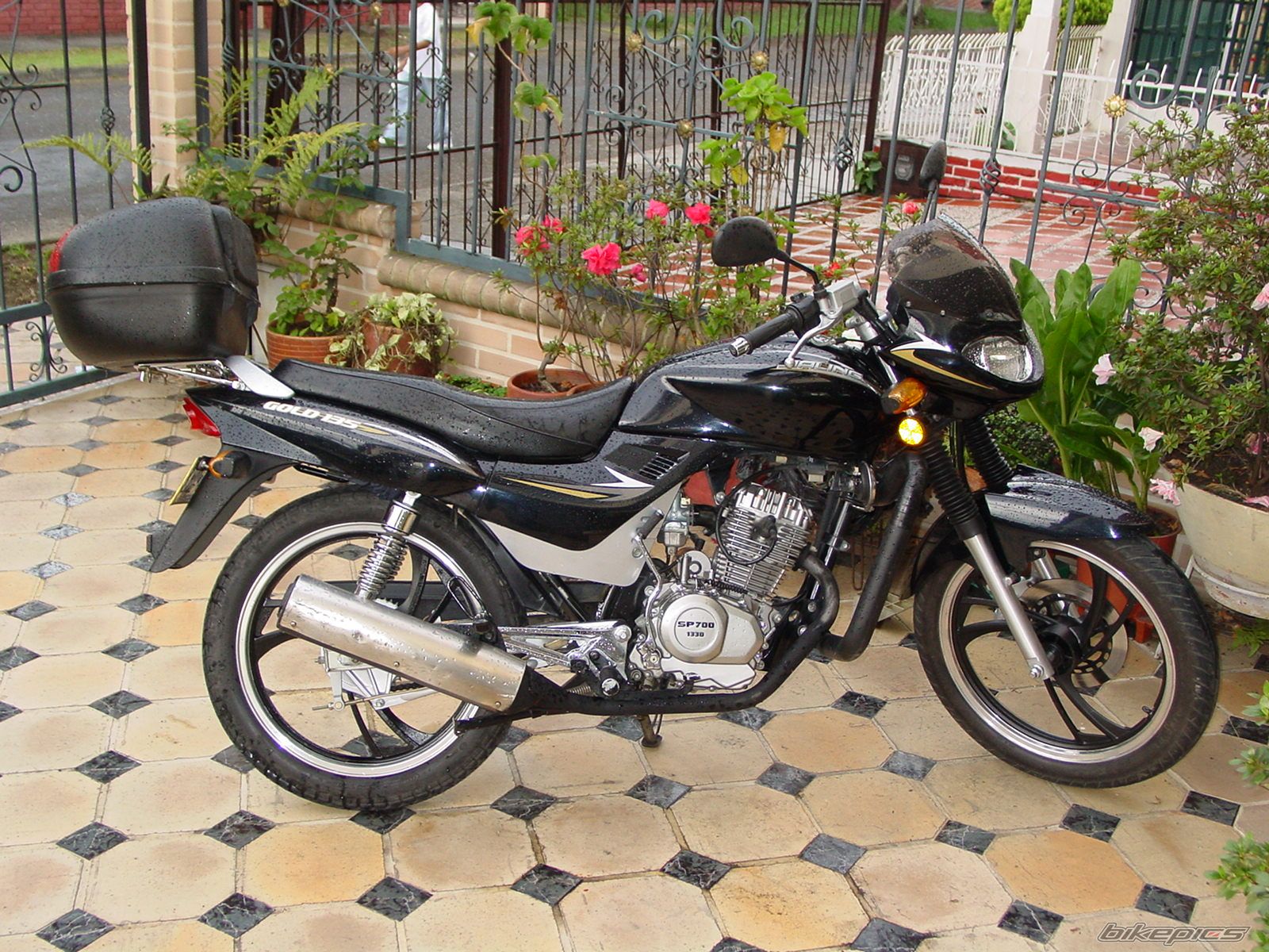 Bike Photo 1100117