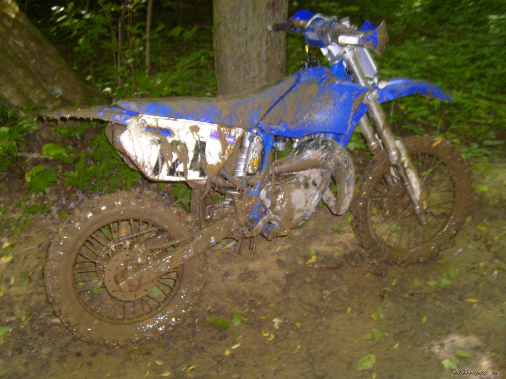 Photo 1100199