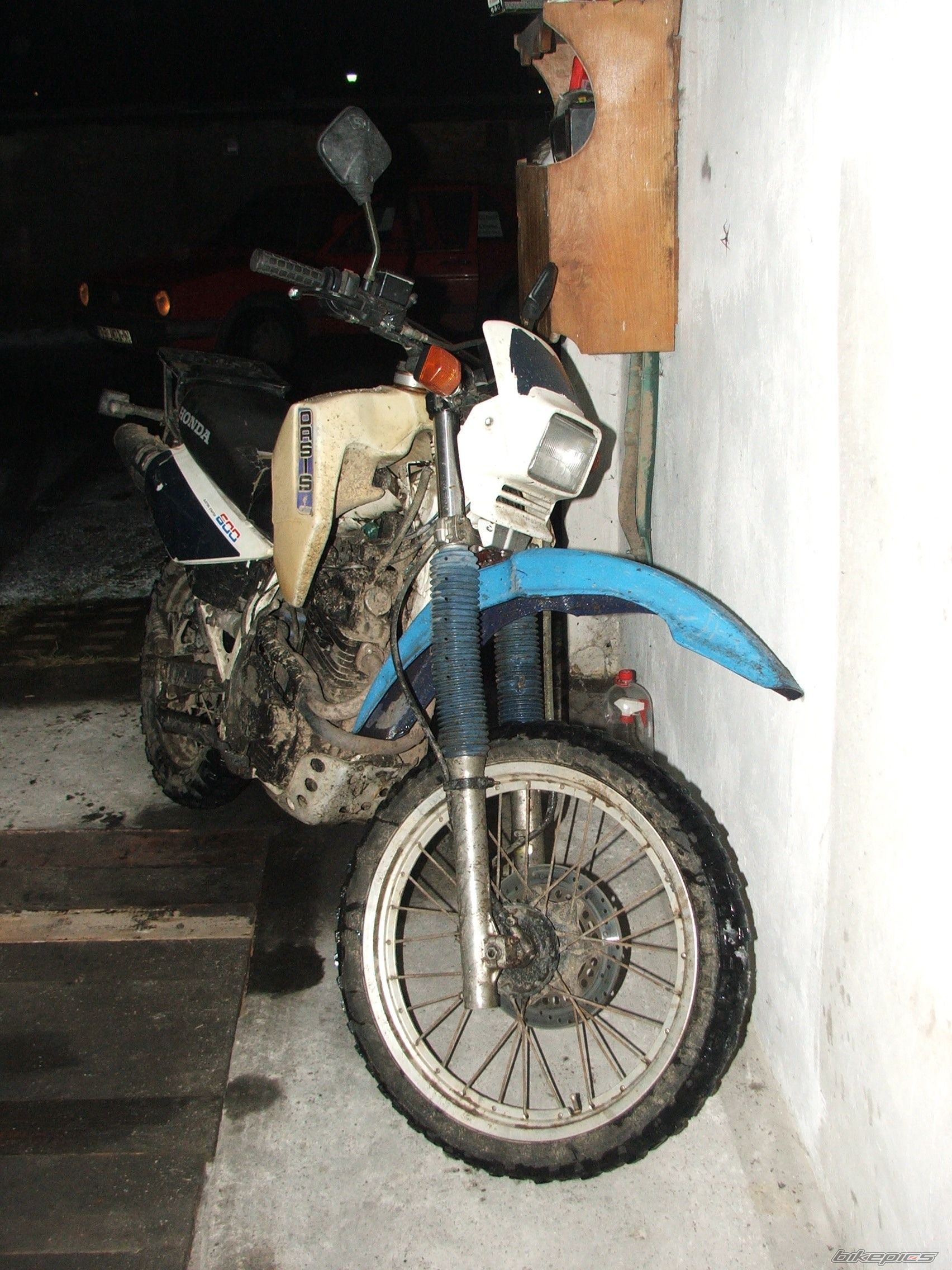 Photo 1100232