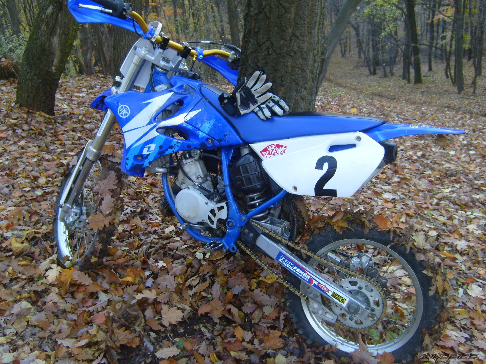 Photo 1100241