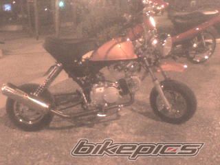 Photo 1100242