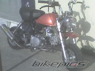Photo 1100247