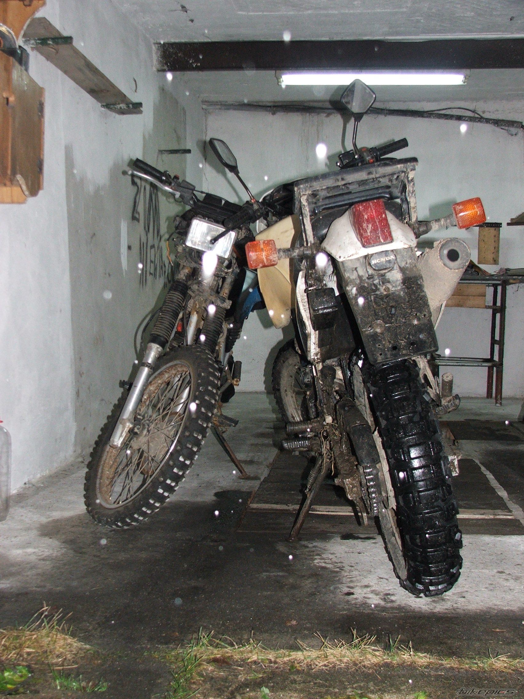 Photo 1100253
