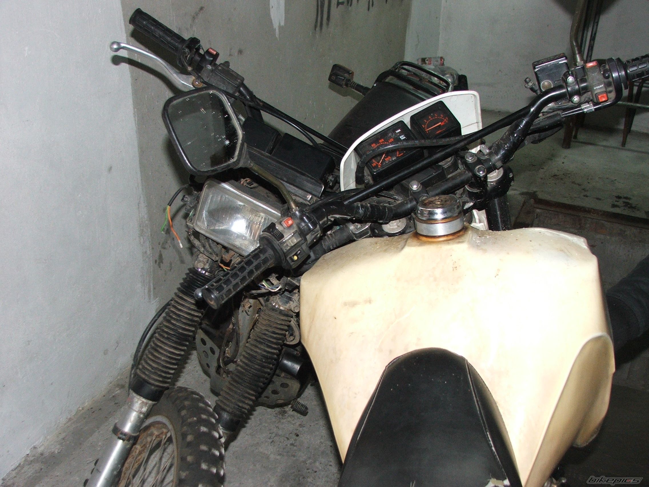 Photo 1100255