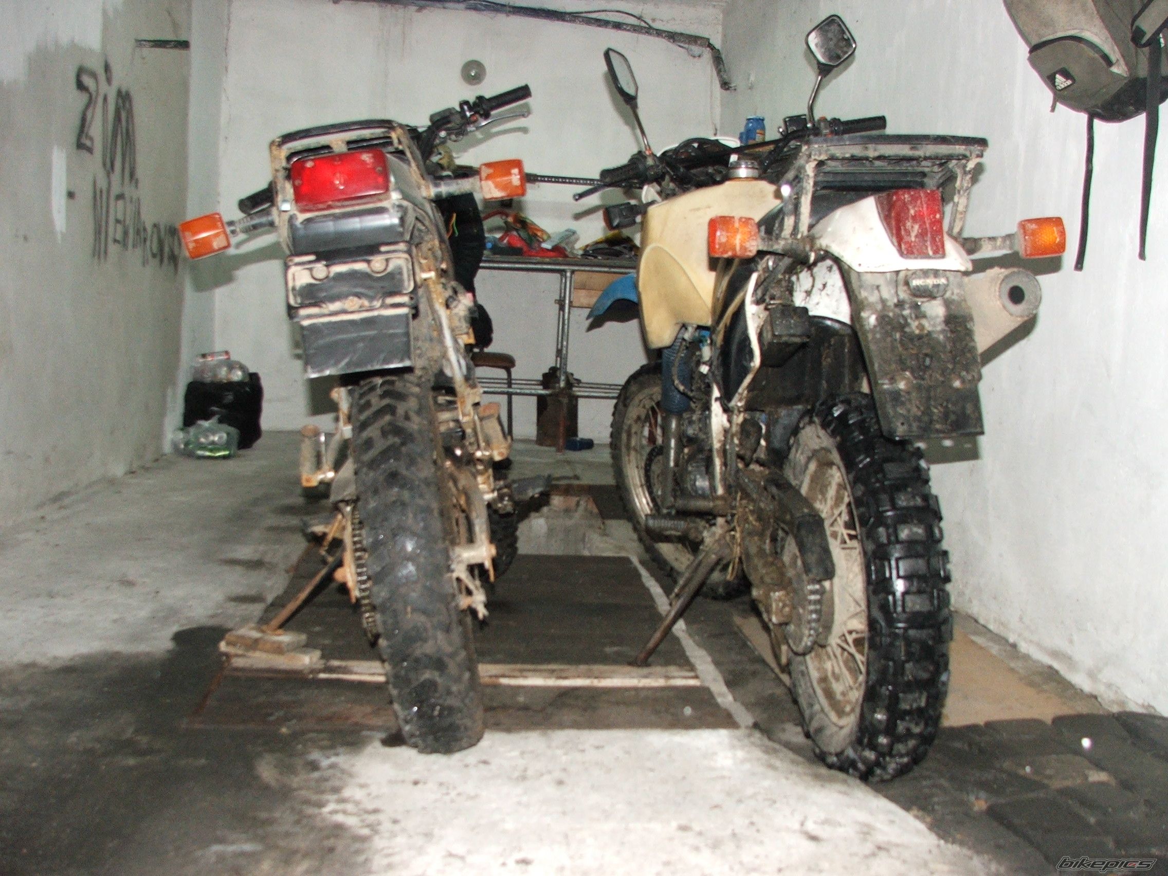 Photo 1100263
