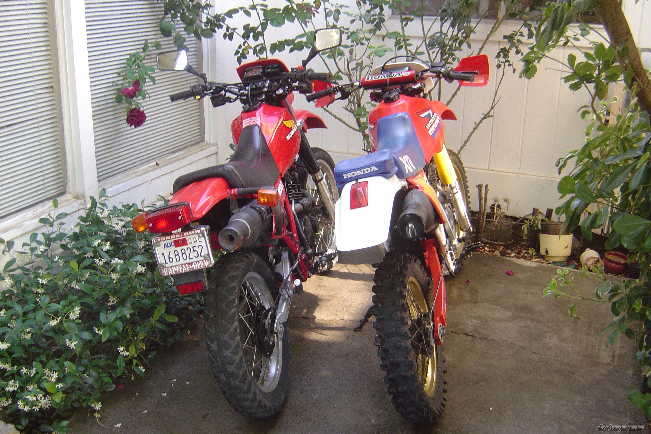 Bike Photo 1100292
