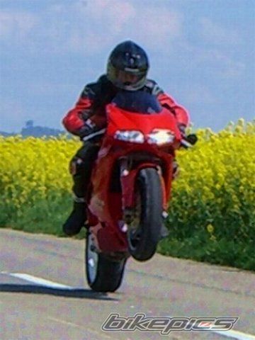 Bike Photo 1100308