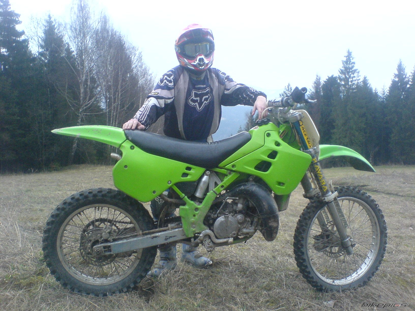 Photo 1100319