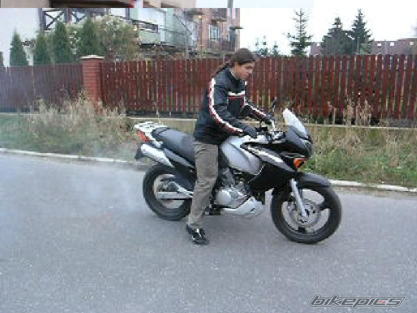 Photo 1100337