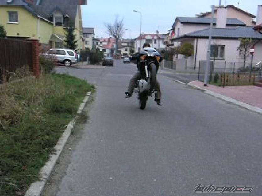 Photo 1100339