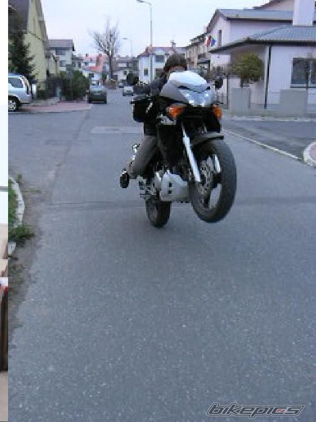 Photo 1100341
