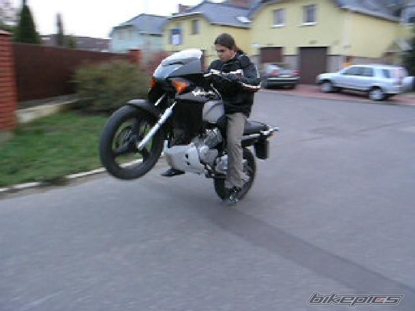 Photo 1100343