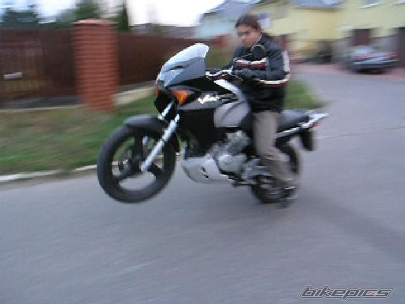 Photo 1100344