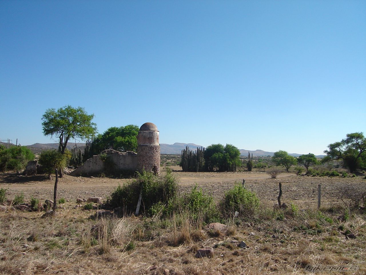Photo 1100518