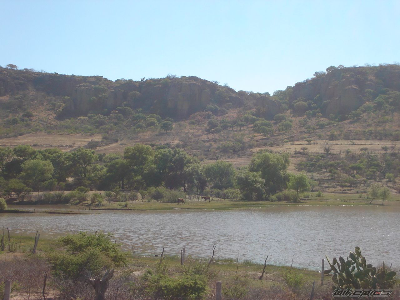 Photo 1100521