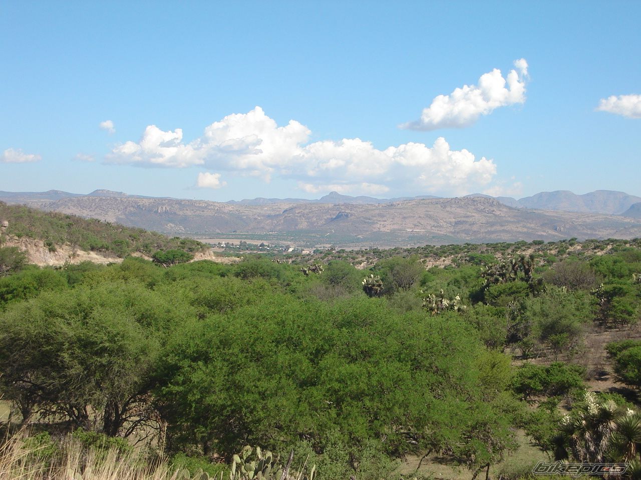 Photo 1100522