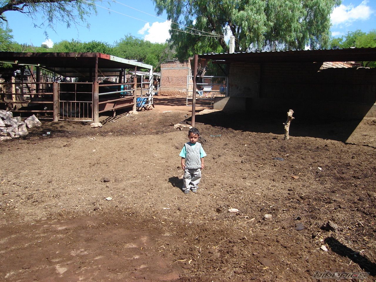 Photo 1100526