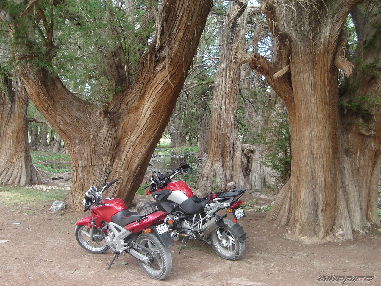 Photo 1100538
