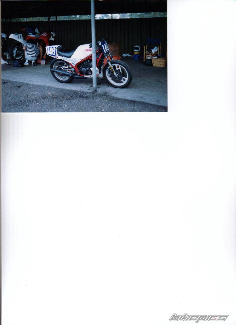 Photo 11007
