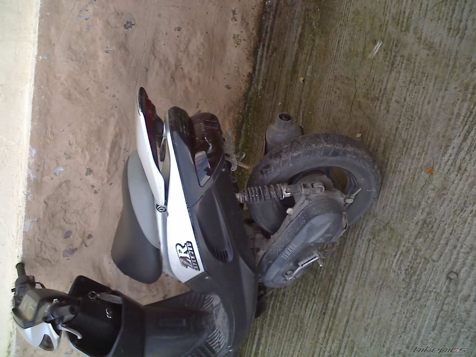 Photo 1100835