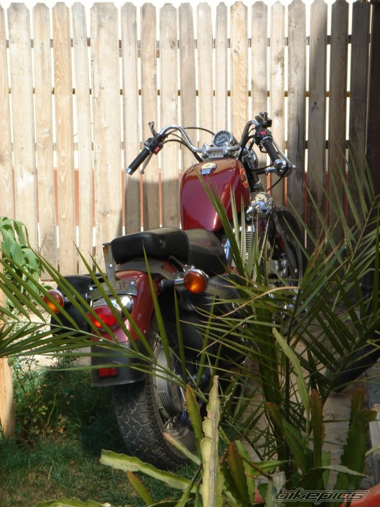 Photo 1100873