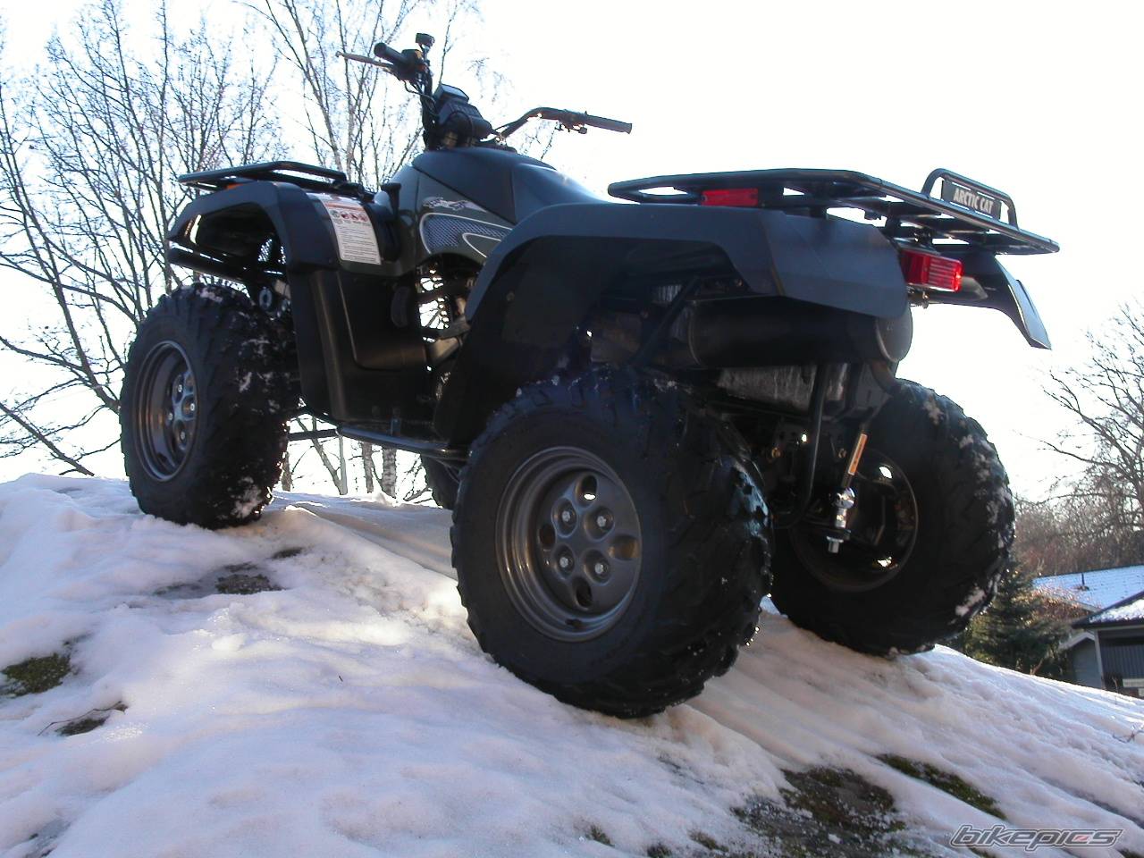 Photo 110089