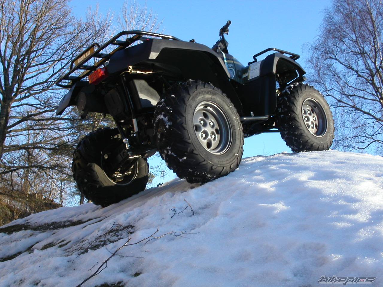 Photo 110091