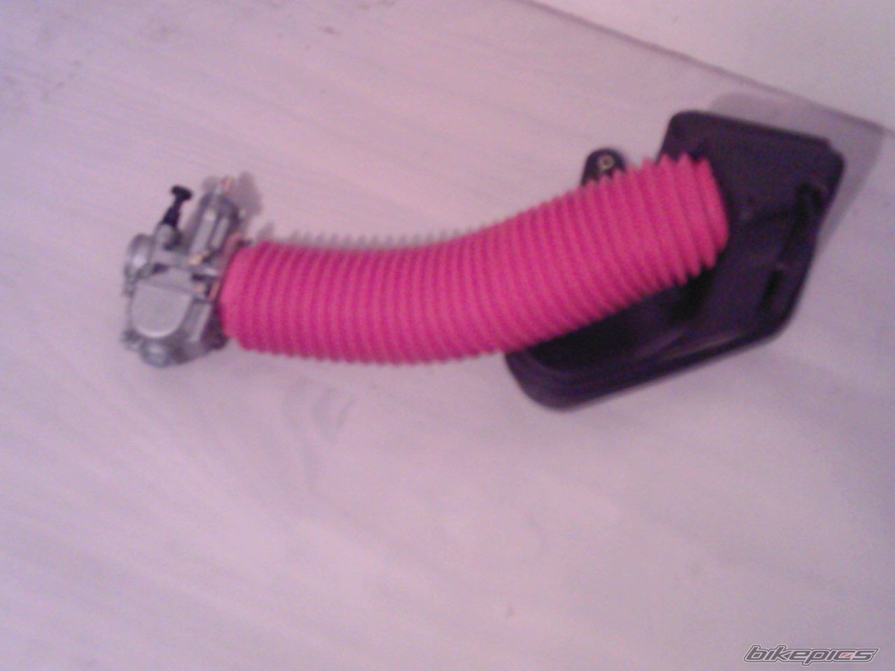 Photo 1100932