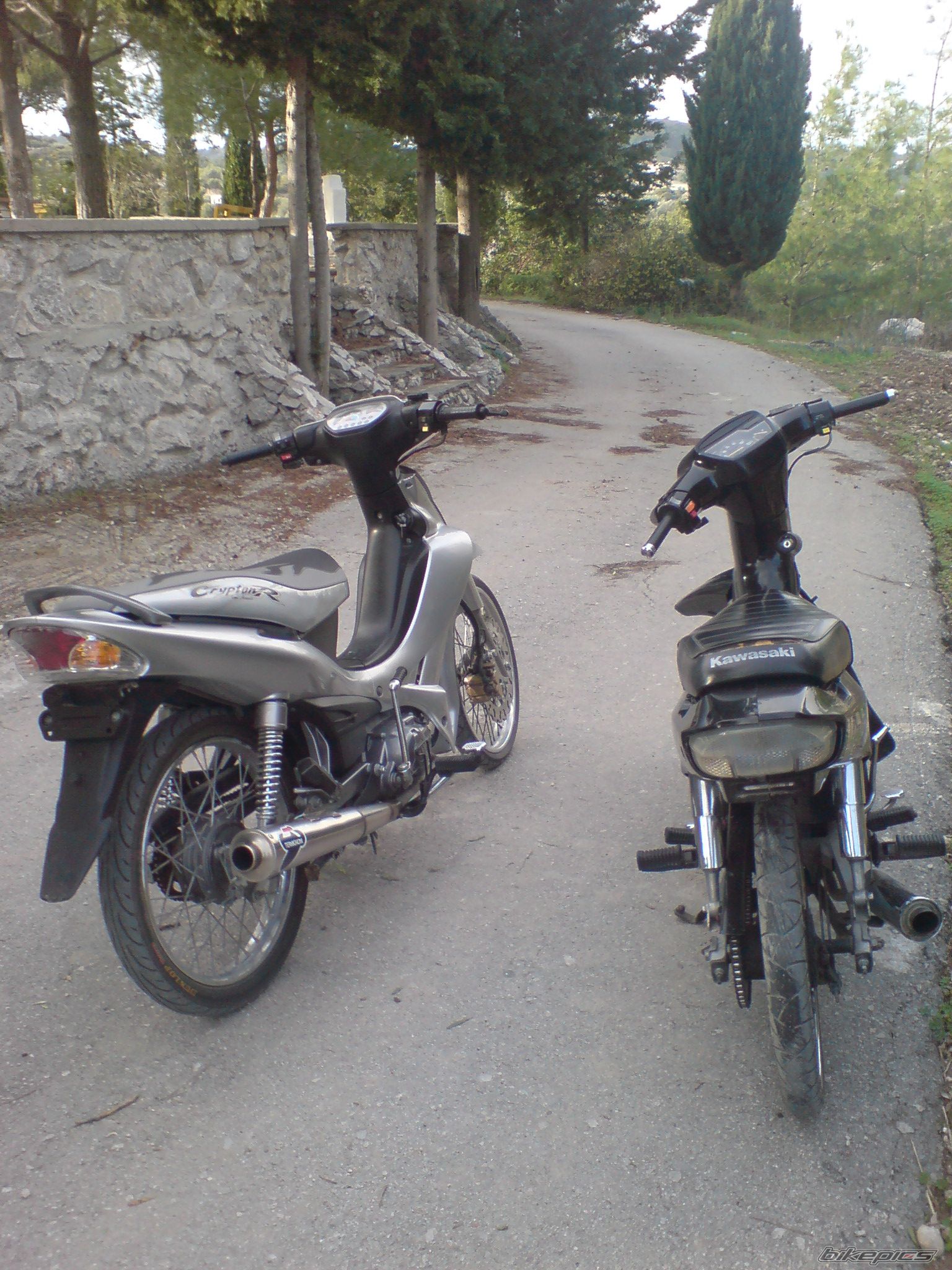 Photo 1101044