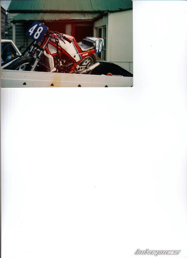 Photo 11011
