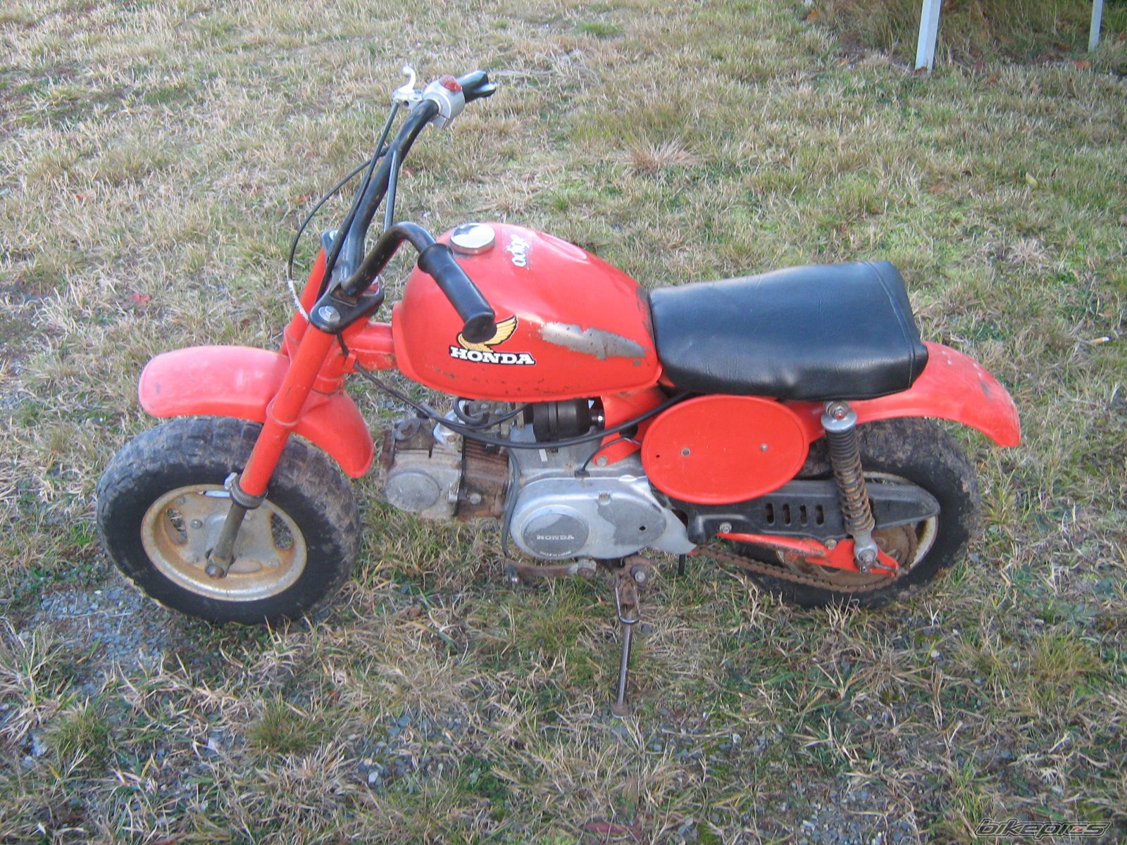 Photo 1101153