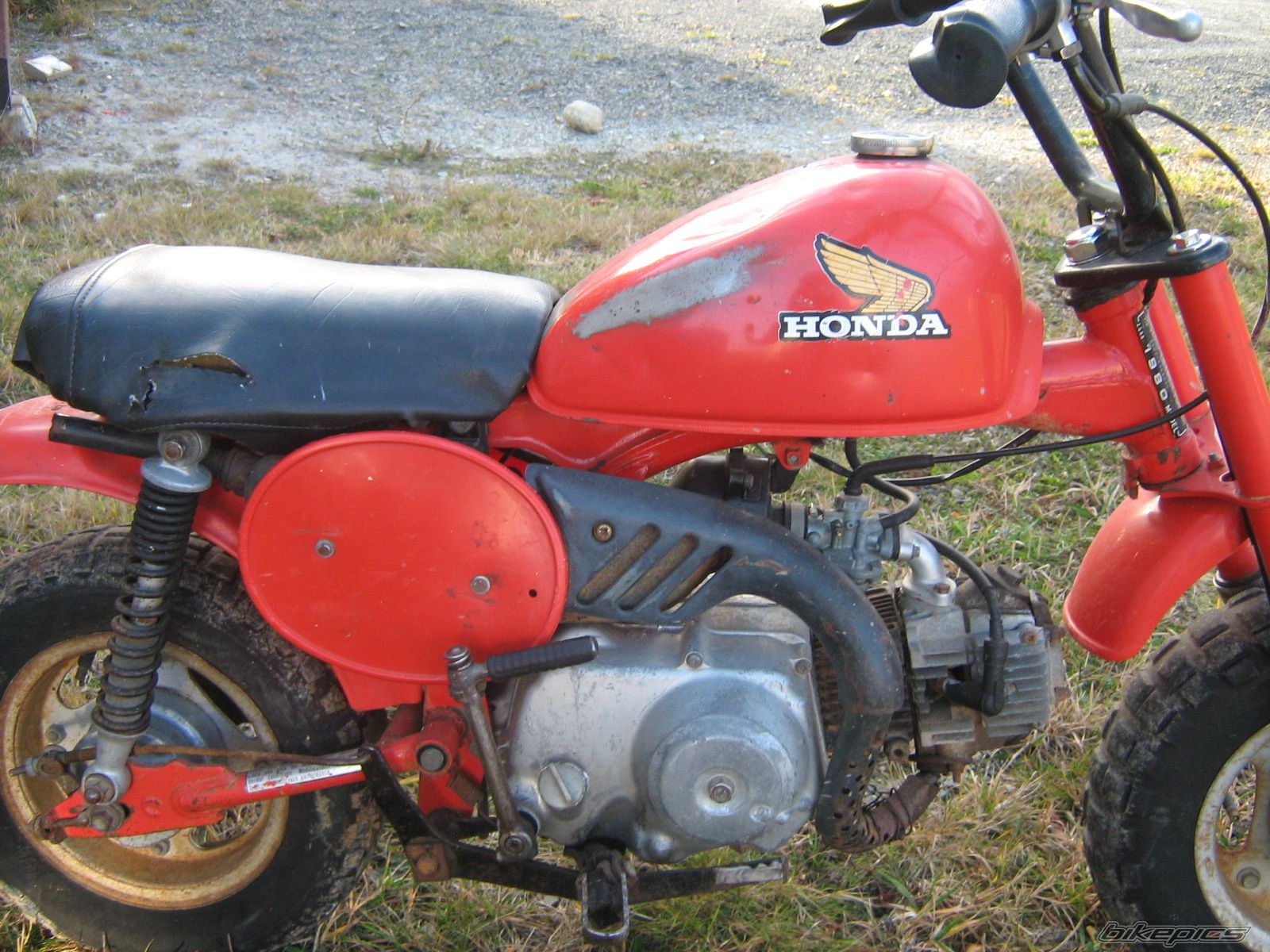 Photo 1101155