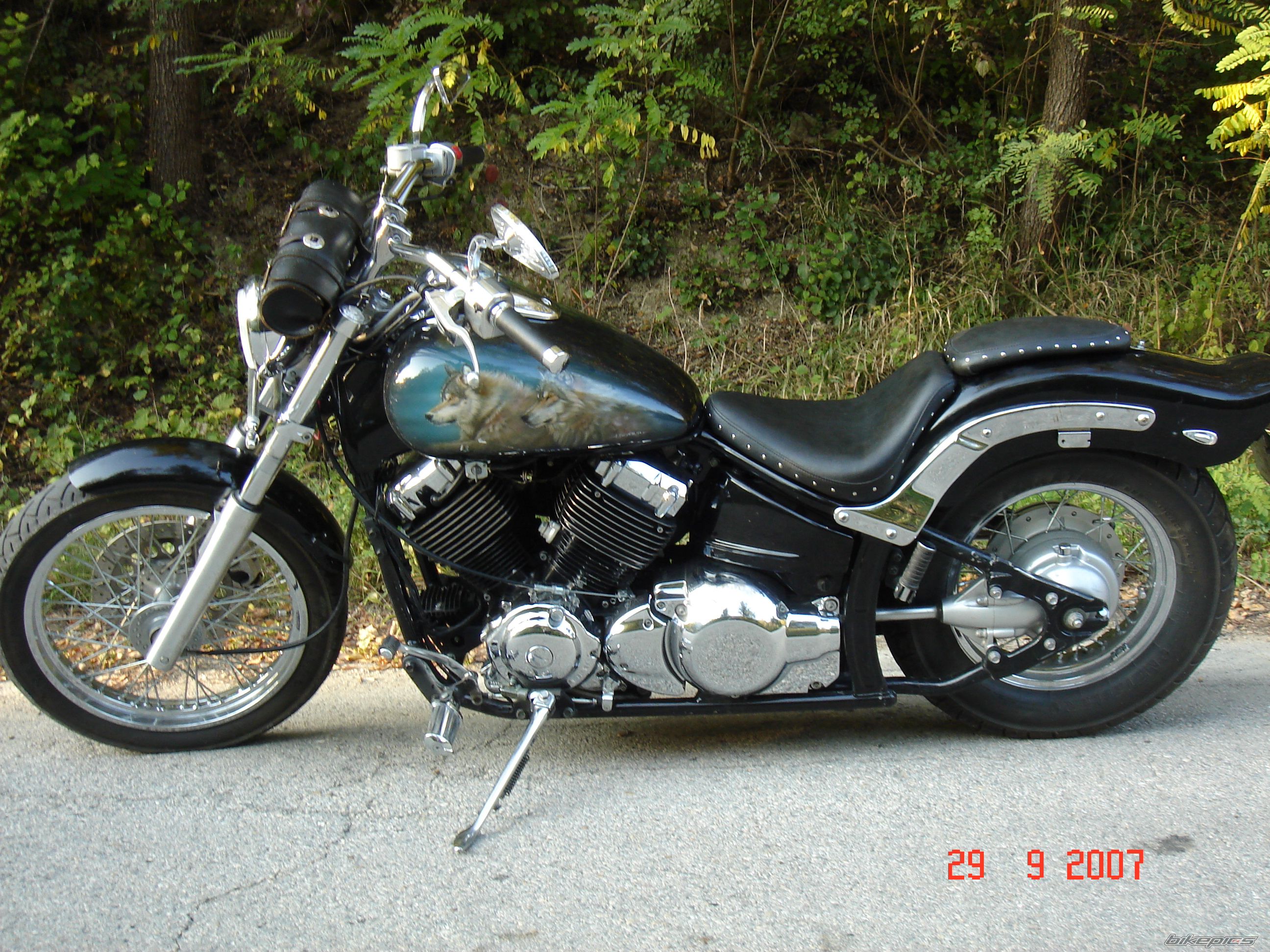 Photo 1101173