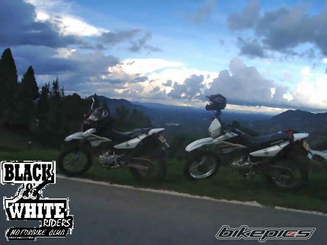 Photo 1101239