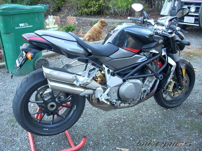 Bike Photo 1101280