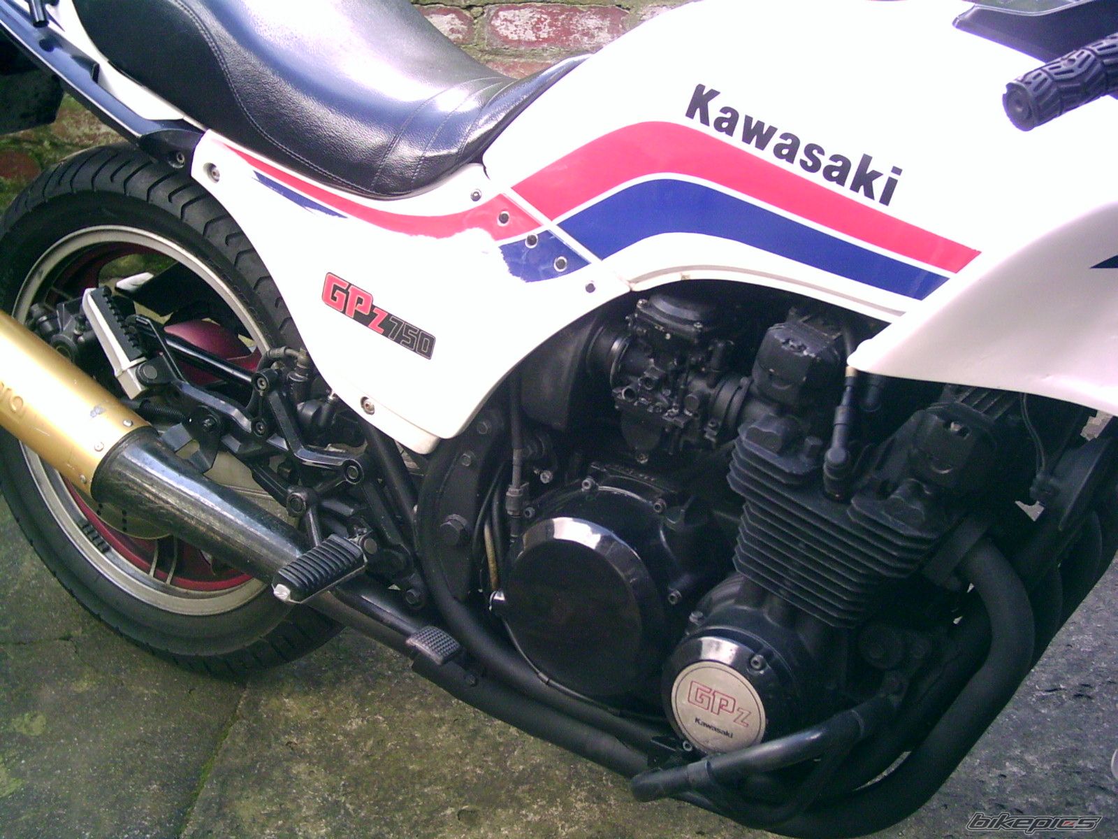 Photo 1101373