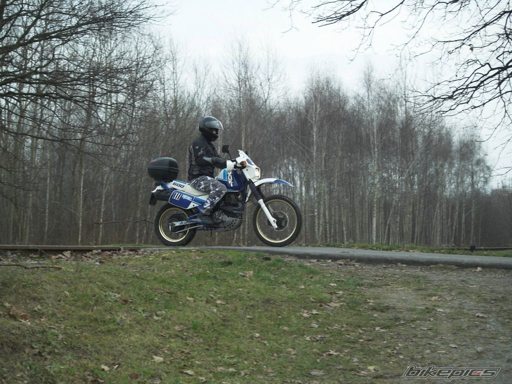 Photo 1101493