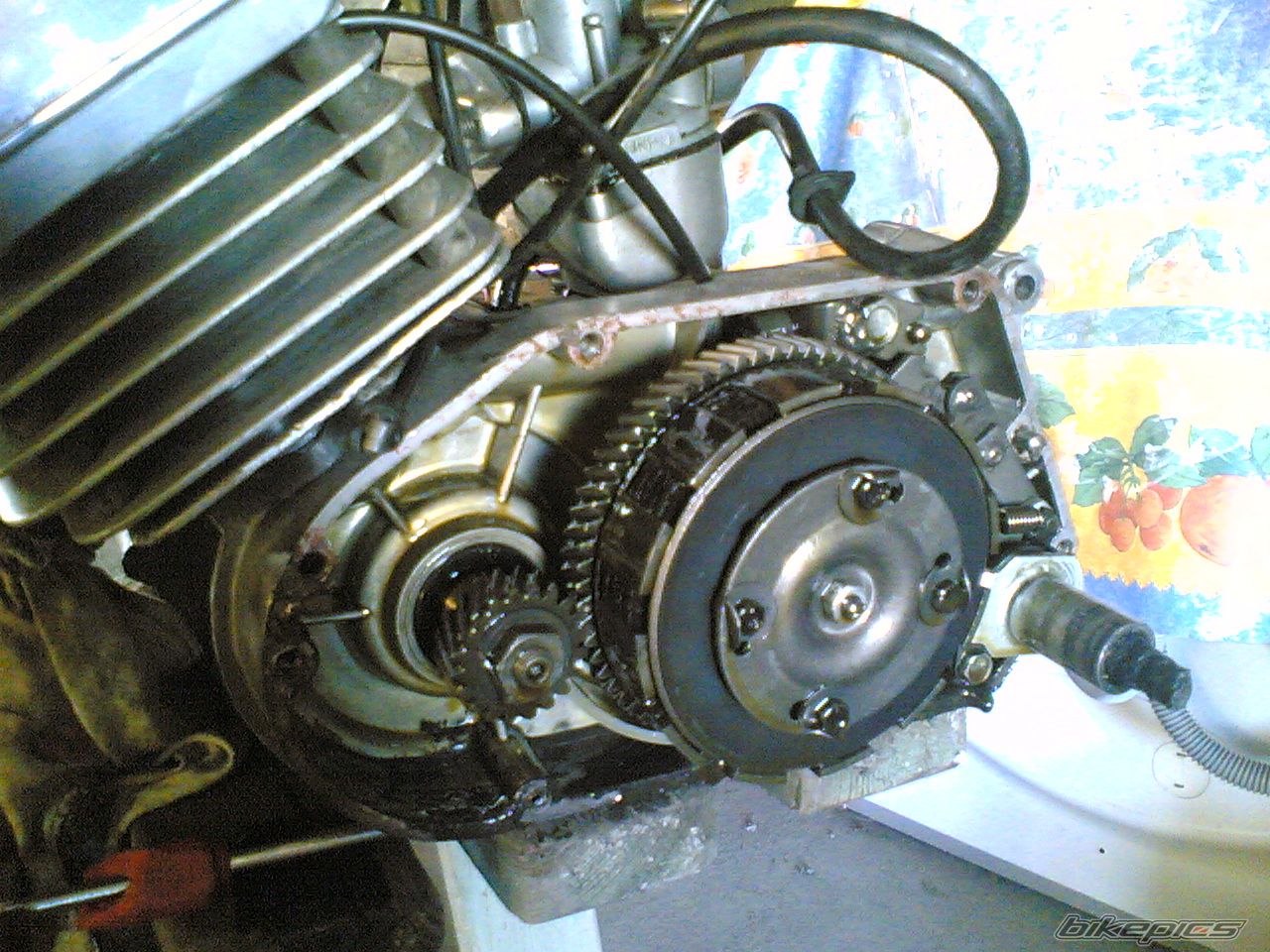 Photo 1101564