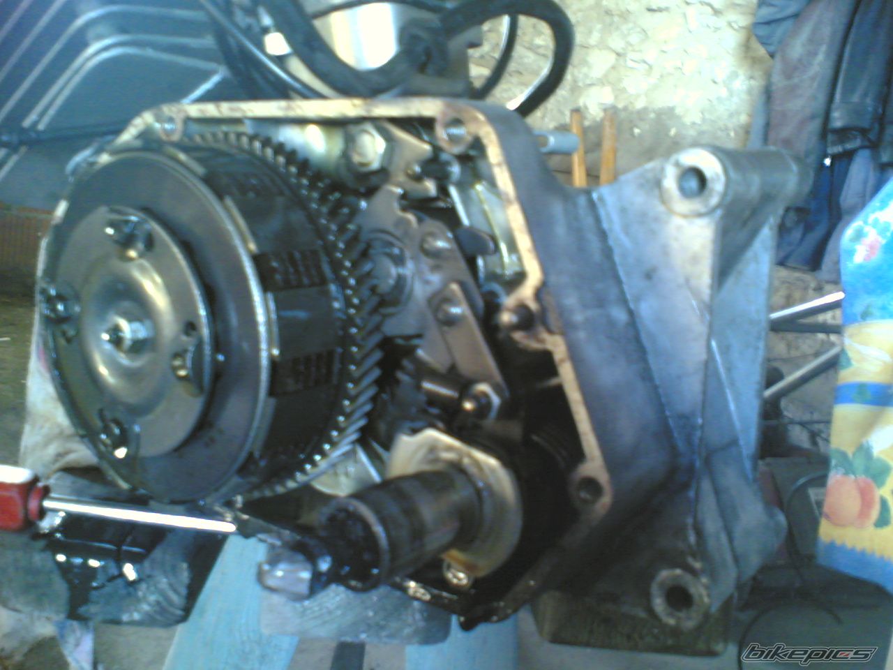 Photo 1101565