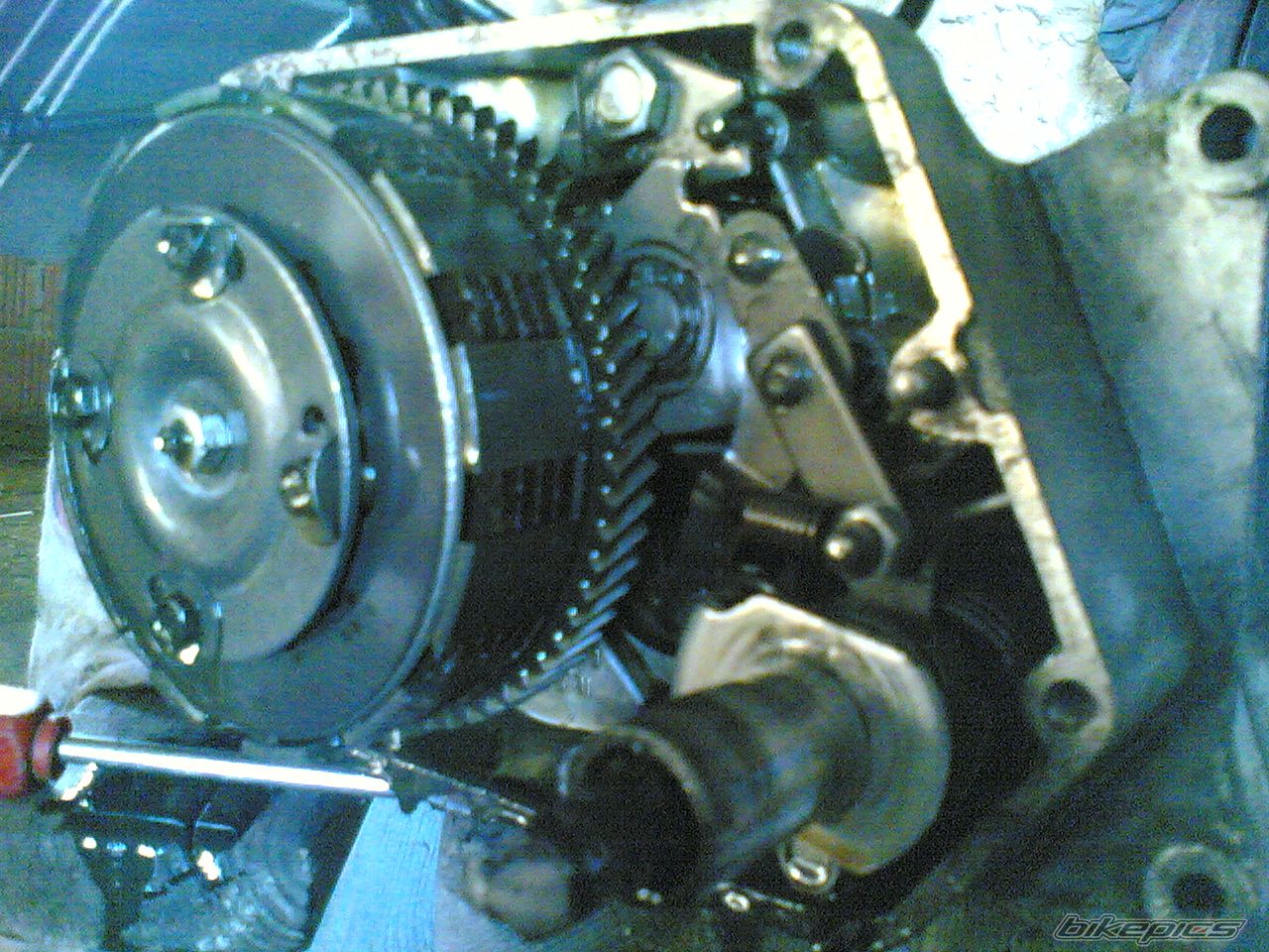 Photo 1101567